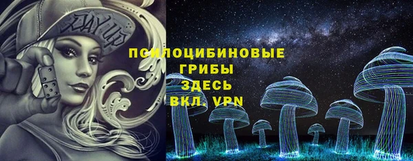 гашик Верхний Тагил
