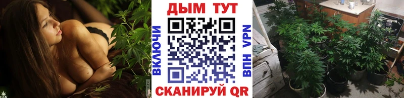 Марихуана гибрид  OMG   Нальчик  дарнет шоп 